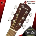 Fender CD -40sce [free gifts free] [with Set Up & QC easy to play] [Center insurance] [100%authentic] Red turtle