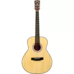 Fantasia SOLID36, airy guitar 36 inches, authentic wood, top solid, rose/Mahokani coating, metal knob + free bag & kapok & pick