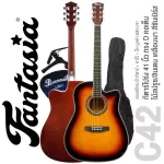 Fantasia C42, 41 inch guitar, Dreadnough shape, concave neck, spruce/linden coated ** New acoustic guitar ** + free