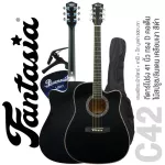 Fantasia C42, 41 inch guitar, Dreadnough shape, concave neck, spruce/linden coated ** New acoustic guitar ** + free