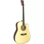 Fantasia C42 กีต้าร์โปร่ง 41 นิ้ว ทรง Dreadnought คอเว้า ไม้สปรูซ/ลินเดน เคลือบเงา ** กีตาร์โปร่งมือใหม่ **