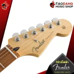 Electric guitar, Fender Player Stratocaster HSS [free gift] [with Set Up & QC] [Insurance from Zero] [100%authentic] [Free delivery] Turtle