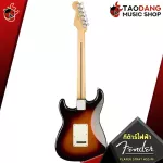 Electric guitar, Fender Player Stratocaster HSS [free gift] [with Set Up & QC] [Insurance from Zero] [100%authentic] [Free delivery] Turtle