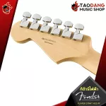 Electric guitar, Fender Player Stratocaster HSS [free gift] [with Set Up & QC] [Insurance from Zero] [100%authentic] [Free delivery] Turtle