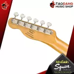 [Bangkok & Metropolitan Region Send Grab Quick] Electric guitar Squier Classic VIBE '70s Series [Free free gift] [with Set Up & QC] [Insurance from Zero] [100%authentic] [Free delivery] Turtle