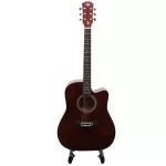 Passion BPS41C 41 -inch guitar, Dreadnough shape