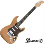 PARAMOUNT PE112 Electric Guitar Strat 22 Frete Alder Pickup Mixing HSS Stratosonic + Free Bag & Jack & Tuner & Tuner