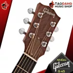 [USA 100%authentic] Gibson G-00, G-55, G-200 EC, G-Writer EC Natural [Free gift] [with Set Up & QC] [Insurance from the center] [100%authentic] [Free delivery] Red turtle