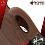 [USA 100%authentic] Gibson G-00, G-55, G-200 EC, G-Writer EC Natural [Free gift] [with Set Up & QC] [Insurance from the center] [100%authentic] [Free delivery] Red turtle