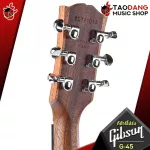 [USA 100%authentic] Gibson G-00, G-55, G-200 EC, G-Writer EC Natural [Free gift] [with Set Up & QC] [Insurance from the center] [100%authentic] [Free delivery] Red turtle