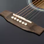 PASSION PS41CE 41 -inch electric guitar, concave neck, linden, shadow coated with 5 -band pickup steel with tuner + free guitar bags & picks