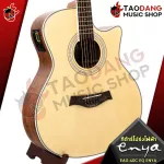 [Bangkok & Metropolitan Lady to send Grab Urgent] Electric acoustic guitar, ENYA EAG40C EQ ENYA [free free gift] [with Set Up & QC easy to play] [Insurance from the center] [100%authentic] [Free delivery] Red turtle