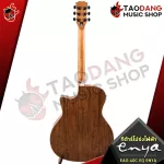 [Bangkok & Metropolitan Lady to send Grab Urgent] Electric acoustic guitar, ENYA EAG40C EQ ENYA [free free gift] [with Set Up & QC easy to play] [Insurance from the center] [100%authentic] [Free delivery] Red turtle