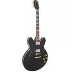 Paramount Seg-272 Electric guitar Semi-Hollow 22 Frets Basswood Basswood Mahogany Finger Board Rosewood Humk