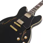 Paramount Seg-272 Electric guitar Semi-Hollow 22 Frets Basswood Basswood Mahogany Finger Board Rosewood Humk