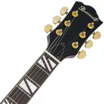 Paramount Seg-272 Electric guitar Semi-Hollow 22 Frets Basswood Basswood Mahogany Finger Board Rosewood Humk