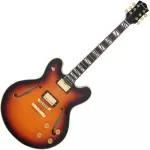 Paramount Seg-272 Electric guitar Semi-Hollow 22 Frets Basswood Basswood Mahogany Finger Board Rosewood Humk