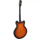 Paramount Seg-272 Electric guitar Semi-Hollow 22 Frets Basswood Basswood Mahogany Finger Board Rosewood Humk