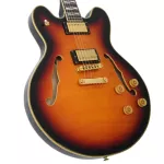 Paramount Seg-272 Electric guitar Semi-Hollow 22 Frets Basswood Basswood Mahogany Finger Board Rosewood Humk