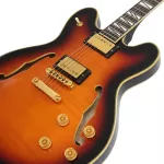 Paramount Seg-272 Electric guitar Semi-Hollow 22 Frets Basswood Basswood Mahogany Finger Board Rosewood Humk