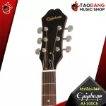 EPIPHON AJ100CE Electric Guitar, world -class brand D Cutaway With premium free gifts - red turtles