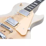 Kazuki BKZ-DLP, Les Paul 22, Frets, Mahakani Body Mahakani wooden neck Finger Board Rosewood Pickup Hambuckker