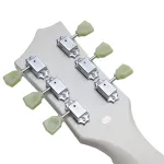 Kazuki BKZ-DLP, Les Paul 22, Frets, Mahakani Body Mahakani wooden neck Finger Board Rosewood Pickup Hambuckker