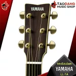 Yamaha LLTA electric acoustic guitar [free gift] [with Set Up & QC easy to play] [Insurance from zero] [100%authentic] [Free delivery] Red turtle