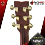 Yamaha LLTA electric acoustic guitar [free gift] [with Set Up & QC easy to play] [Insurance from zero] [100%authentic] [Free delivery] Red turtle
