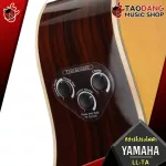 Yamaha LLTA electric acoustic guitar [free gift] [with Set Up & QC easy to play] [Insurance from zero] [100%authentic] [Free delivery] Red turtle