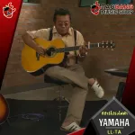 Yamaha LLTA electric acoustic guitar [free gift] [with Set Up & QC easy to play] [Insurance from zero] [100%authentic] [Free delivery] Red turtle