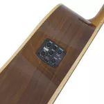 Clevan D35SE 41-inch electric guitar, top-top Sterer/Rose Wood, NUBONE, using the guitar line D'Adario, Pickup B-Band.