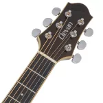 Clevan D35S 41 -inch guitar, top -scrap topus/rosewood, nubone ** use D'Addario EXP16 cable, rust -proof coating **