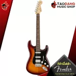 กีต้าร์ไฟฟ้า Fender Player Stratocaster Plus Top , Player Stratocaster HSS Plus Top [ฟรีของแถม] [พร้อมSet Up&QCเล่นง่าย] [แท้100%] [ส่งฟรี] เต่าเเดง
