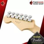 Fender Player Stratocaster Plus Top, Player Stratocaster HSS TOP [Free free gift] [with Set Up & QC easy to play] [100%authentic] [Free delivery] Turtle