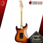 Fender Player Stratocaster Plus Top, Player Stratocaster HSS TOP [Free free gift] [with Set Up & QC easy to play] [100%authentic] [Free delivery] Turtle