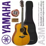 YAMAHA® A3M 41 -inch electric guitar Wood with ARE Pickup technology with SRT + free guitar bags