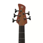 Yamaha® TRBX505 Base Guitar 5 Line 24 Freck, ACIVE Sol, Hokkani, 5 layers of wooden neckwood, double -year -end ** 1 year warranty **