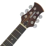 CLEVAN EA-20 Electric Guitar 22 Freck Wood Spur/Mahokani ** Can plug in headphones & MP3 ** Guitar Active + Free Buffong Bag & Capo & Pi