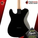 Electric guitar FSR Affinity Series Telecaster HH [Free free gift] [with Set Up & QC Easy to play] [Insurance from Zero] [100%authentic] [Free delivery] Turtle