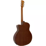 PARAMOUNT QAG501 41 -inch guitar, concave neck, Taylor style, top -tops, spruce/mahogany coated + free bag & tuner