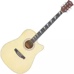 RESSONANCE LS-41C 41-inch guitar, Dreadnough shape Inlay shadow shark fins ** Set up before delivery **