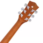 RESSONANCE LS-41C 41-inch guitar, Dreadnough shape Inlay shadow shark fins ** Set up before delivery **