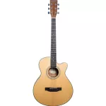 Kazuki® SD TS LITE 40C Standard SD LITE 40 inches GA GA, Genuine Top Sol, Top Solid on the side/Wood back