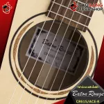 [Bangkok & Metropolitan Region Send Grab Quick] Classic Baton Rouge CR61S / ACE-R [free free gift] [with Set Up & QC easy to play] [Insurance from the center] [100%authentic] [Free delivery] Red turtle