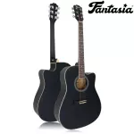 Fantasia Acoustic Guitar, 41 inch acoustic guitar, Dreadnough style, concave neck, spruce/linden coated, model QAG411M ** new acoustic guitar **
