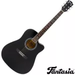 Fantasia Acoustic Guitar, 41 inch acoustic guitar, Dreadnough style, concave neck, spruce/linden coated, model QAG411M ** new acoustic guitar **