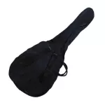 PARAMOUNT Purlk 41 "F650N wood color, free guitar bag