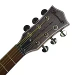 Paramount Electric Guitar Squat wood/walnut wood 40 "Special sound channel SQ-F + built-in strap machine