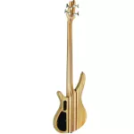 SQOE 4 Base guitar, ASHER, Modern Jazz, BS400